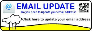 Update your email details